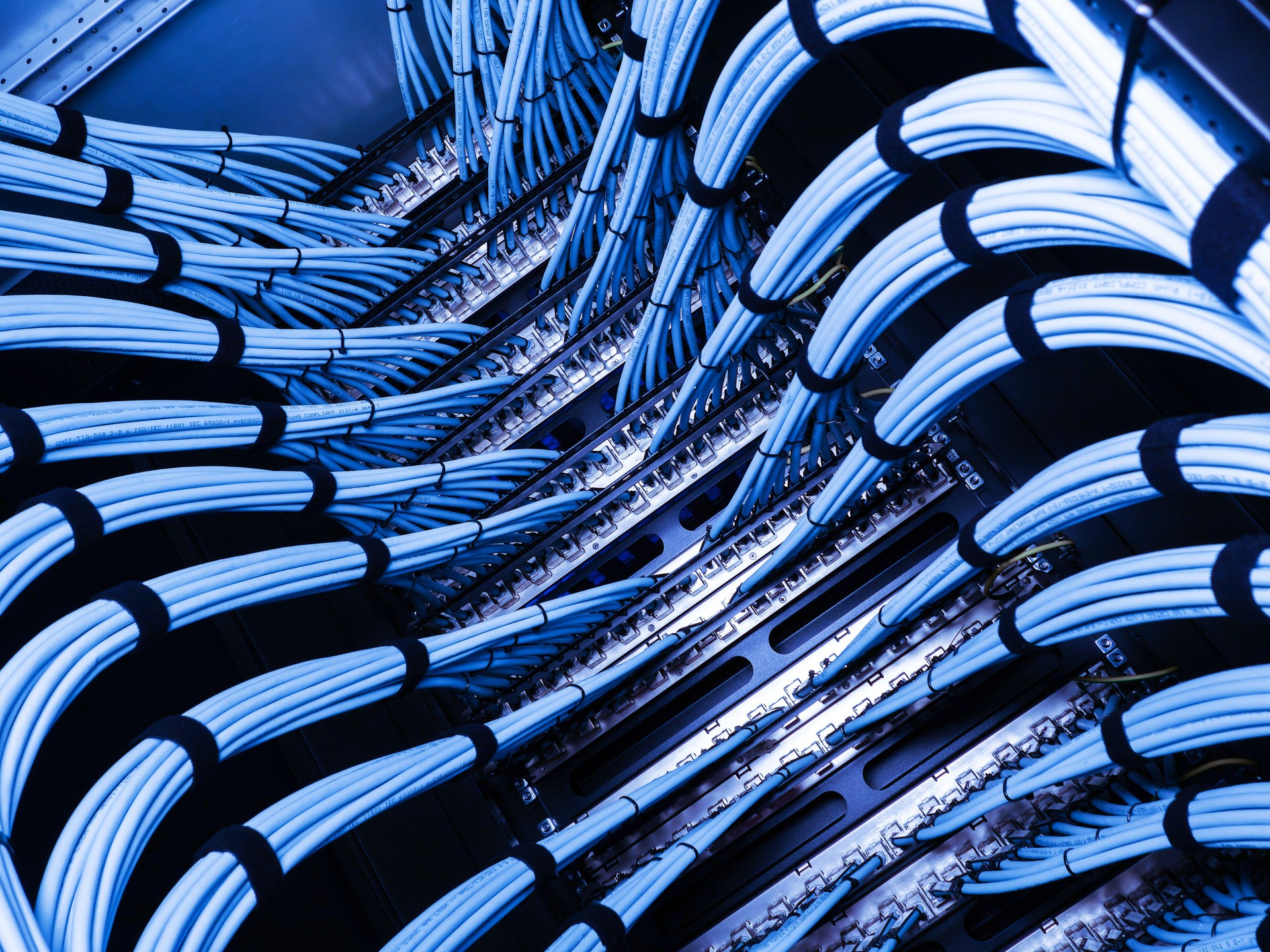 Blue Network Cables in Server Room Setup